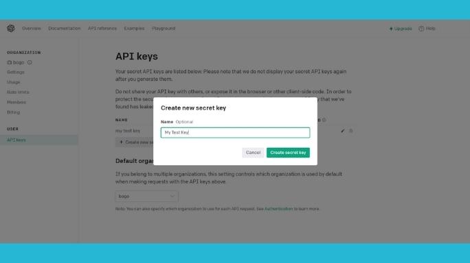 Save API Key